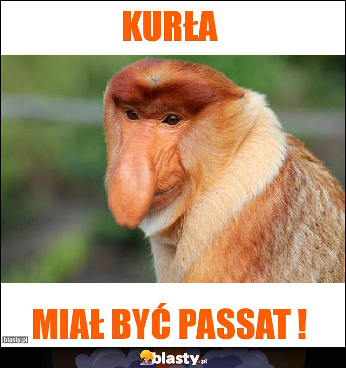Kurła