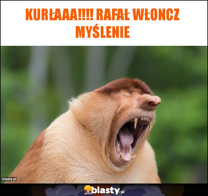 KURŁAAA!!!! RAFAŁ WŁONCZ MYŚLENIE KURŁAAA!!!! RAFAŁ WŁONCZ MYŚLENIE