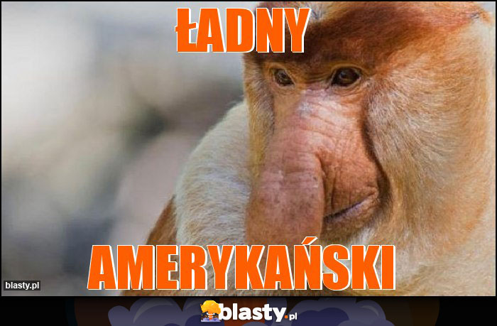 Ładny