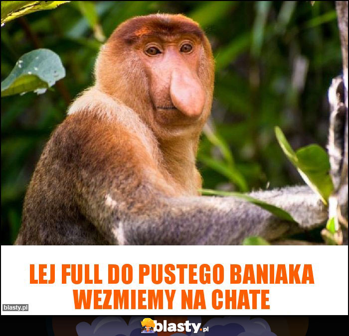 Lej full do pustego baniaka wezmiemy na chate Lej full do pustego baniaka wezmiemy na chate