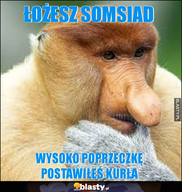 Łożesz somsiad Łożesz somsiad