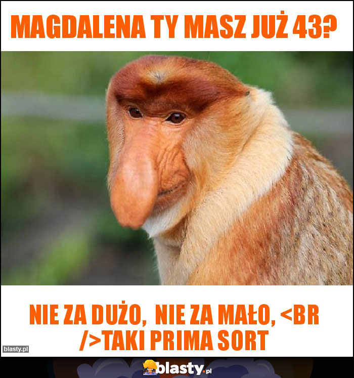 Magdalena ty masz już 43? Magdalena ty masz już 43?