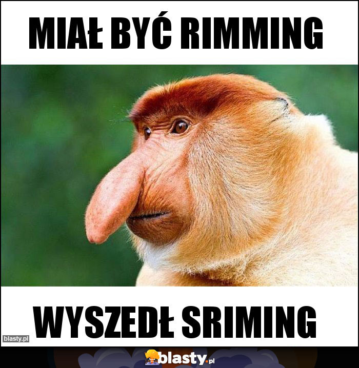 miał być rimming miał być rimming
