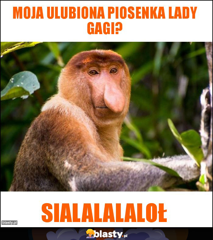 Moja ulubiona piosenka Lady Gagi? Moja ulubiona piosenka Lady Gagi?