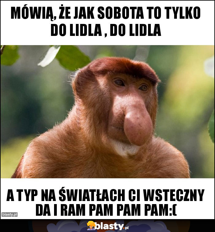 Mówią, że jak sobota to tylko do Lidla , do Lidla Mówią, że jak sobota to tylko do Lidla , do Lidla