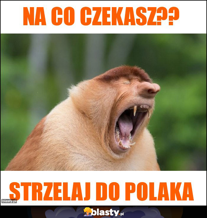 Na co czekasz?? Na co czekasz??