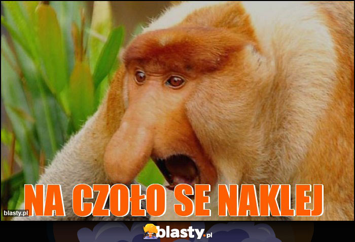Na czoło se naklej Na czoło se naklej