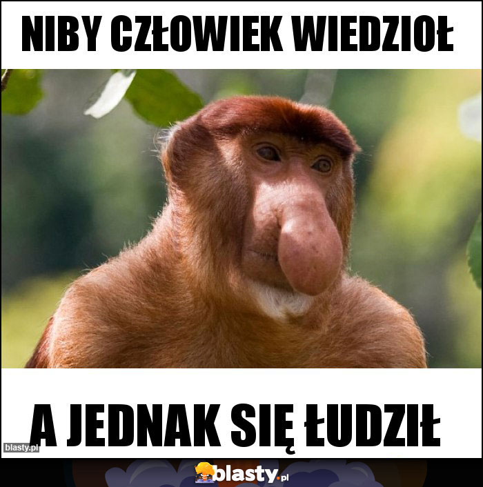Niby człowiek wiedzioł Niby człowiek wiedzioł