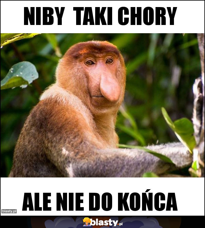 Niby taki chory Niby taki chory