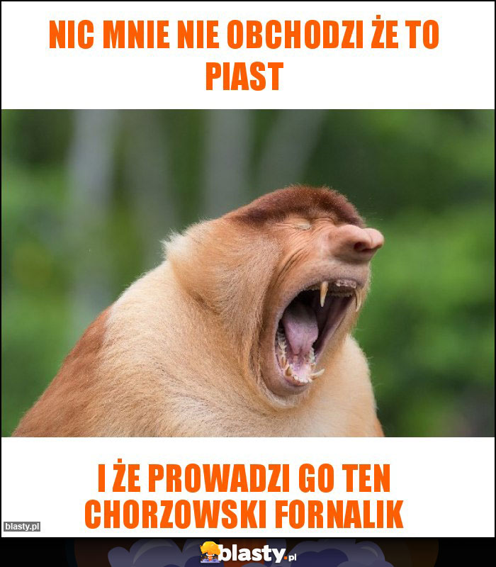Nic mnie nie obchodzi że to Piast Nic mnie nie obchodzi że to Piast