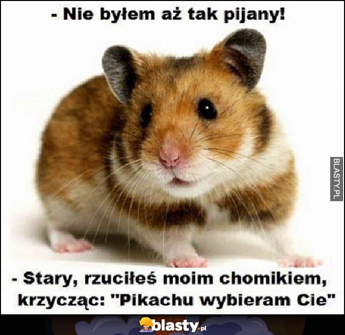 Nie byłem aż tak pijany! Stary rzuciłeś moim chomikiem krzycząc Pikachu wybieram cię