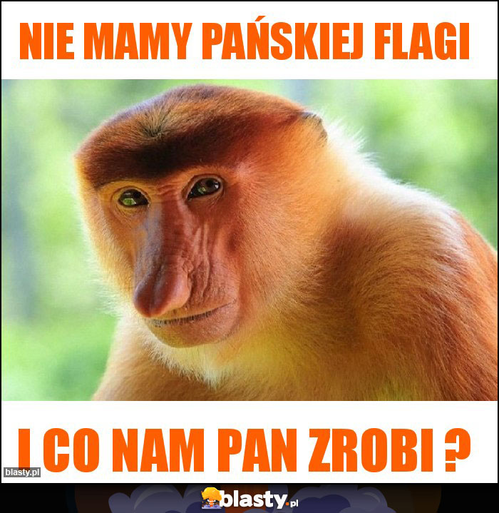 Nie mamy pańskiej flagi Nie mamy pańskiej flagi