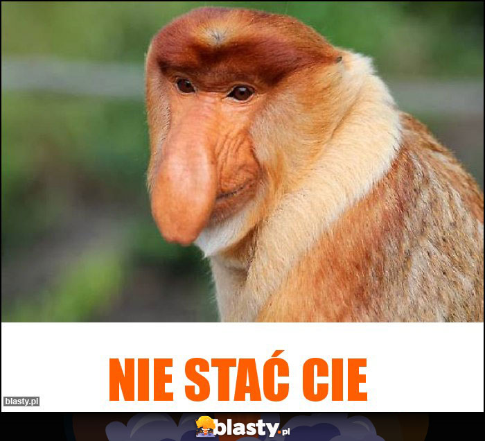 NIE STAĆ CIE NIE STAĆ CIE