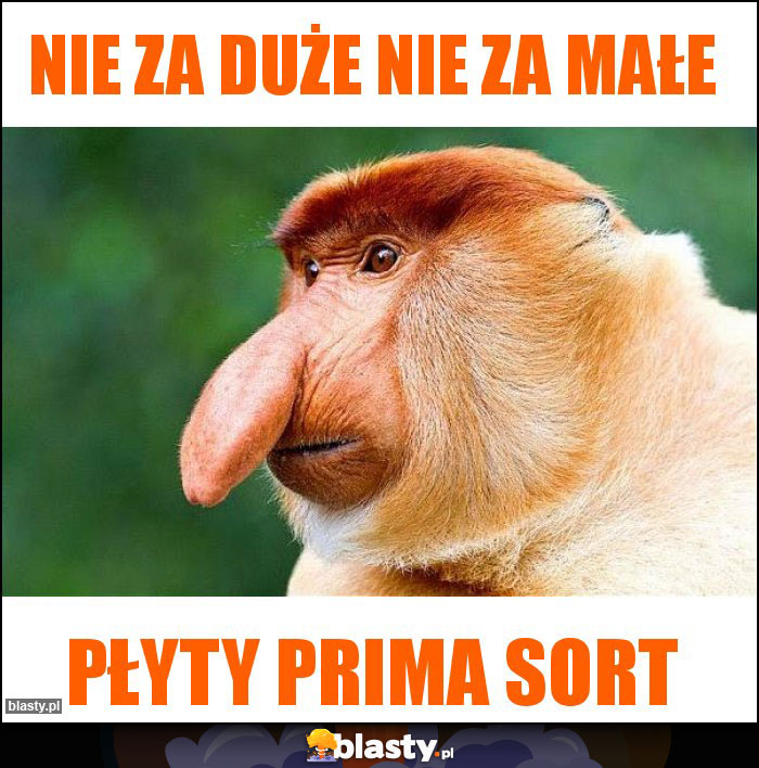 Nie za duże nie za małe Nie za duże nie za małe