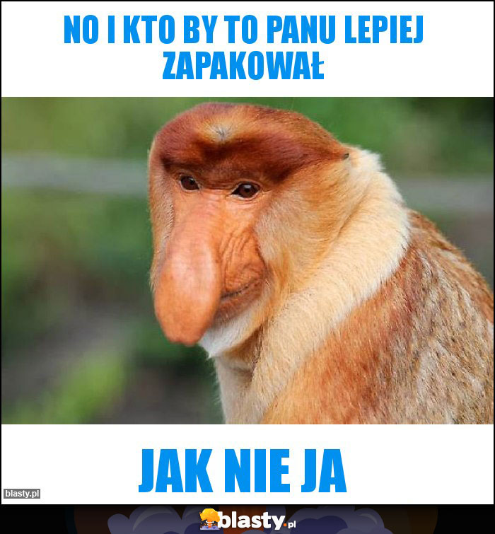 NO I KTO BY TO PANU LEPIEJ ZAPAKOWAŁ NO I KTO BY TO PANU LEPIEJ ZAPAKOWAŁ