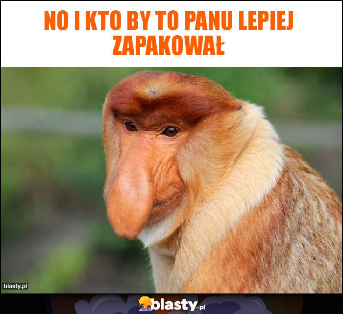 NO I KTO BY TO PANU LEPIEJ ZAPAKOWAŁ NO I KTO BY TO PANU LEPIEJ ZAPAKOWAŁ