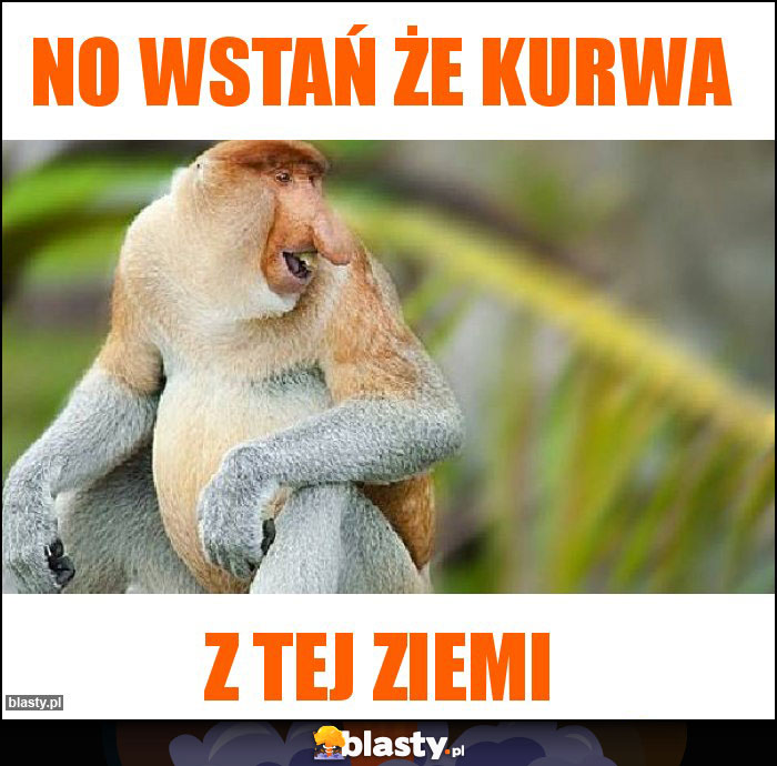 No wstań że kurwa No wstań że kurwa