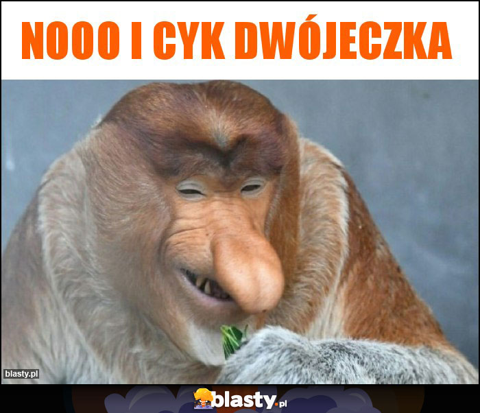 Nooo i cyk dwójeczka Nooo i cyk dwójeczka