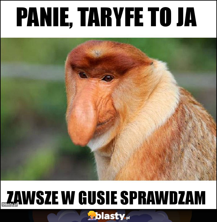 Panie, taryfe to ja Panie, taryfe to ja