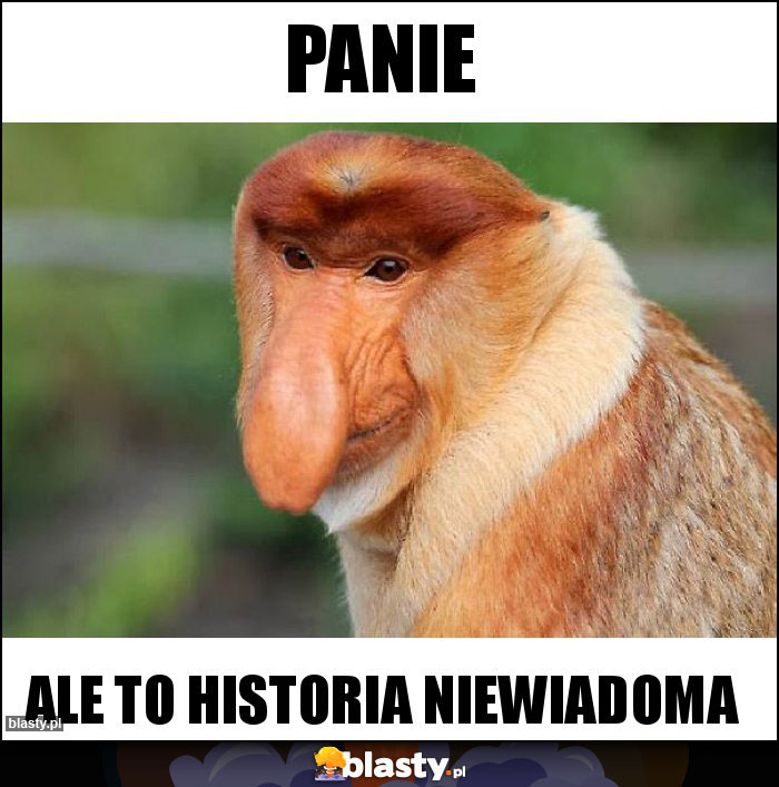 PANIE