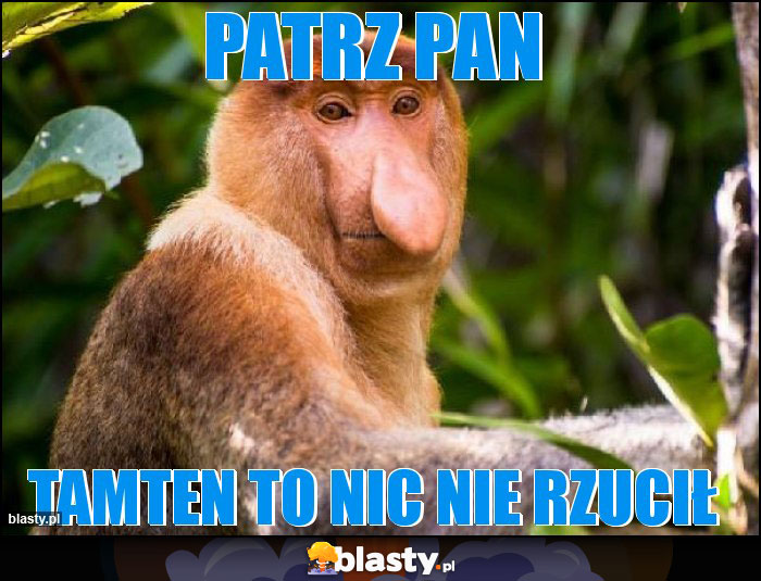 PATRZ PAN