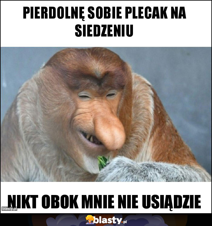 Pierdolnę sobie plecak na siedzeniu Pierdolnę sobie plecak na siedzeniu