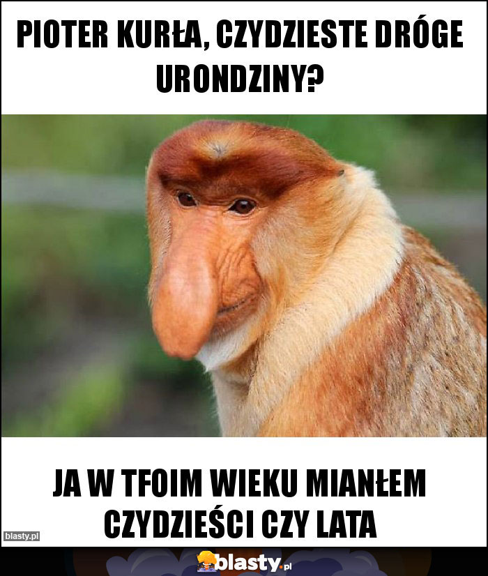 Pioter kurła, czydzieste dróge urondziny? Pioter kurła, czydzieste dróge urondziny?