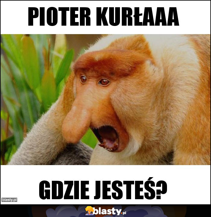 Pioter kurłaaa