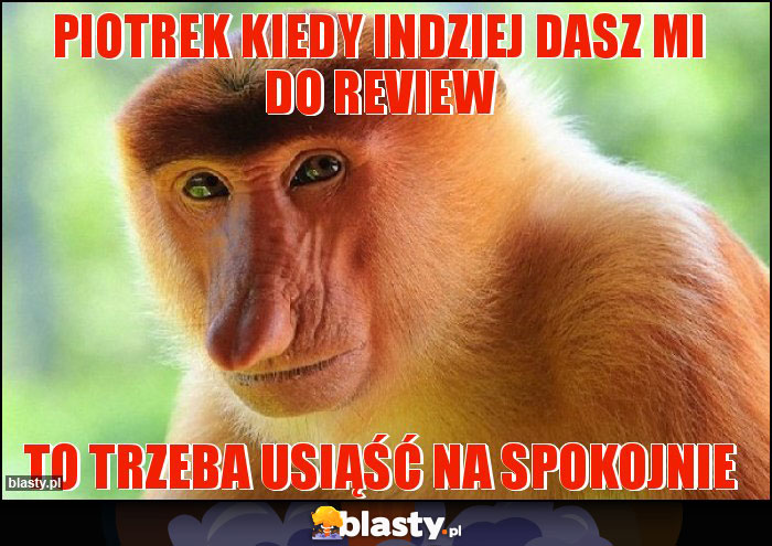 Piotrek kiedy indziej dasz mi do review Piotrek kiedy indziej dasz mi do review