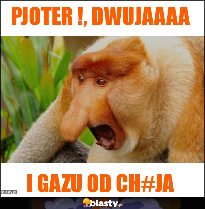 PJoter !, Dwujaaaa PJoter !, Dwujaaaa