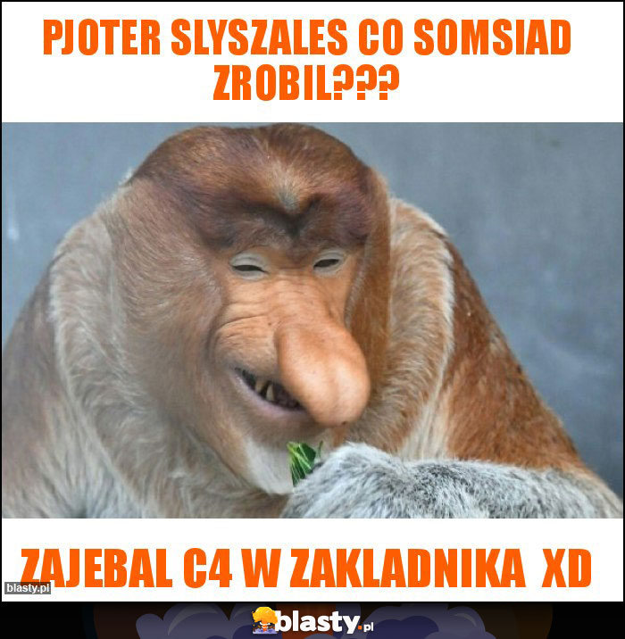 PJOTER SLYSZALES CO SOMSIAD ZROBIL??? PJOTER SLYSZALES CO SOMSIAD ZROBIL???