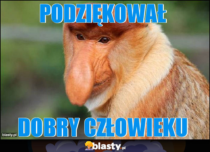 PODZIĘKOWAŁ PODZIĘKOWAŁ