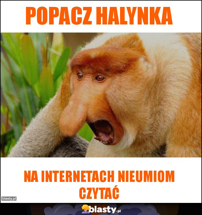 popacz Halynka