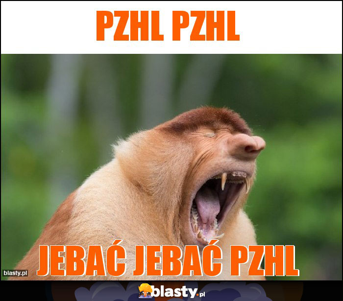 PZHL PZHL
