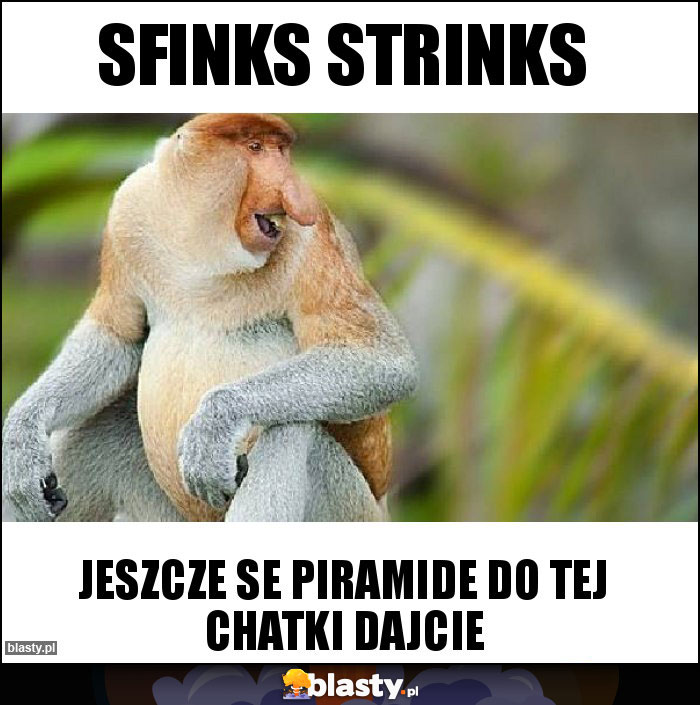 sfinks strinks sfinks strinks