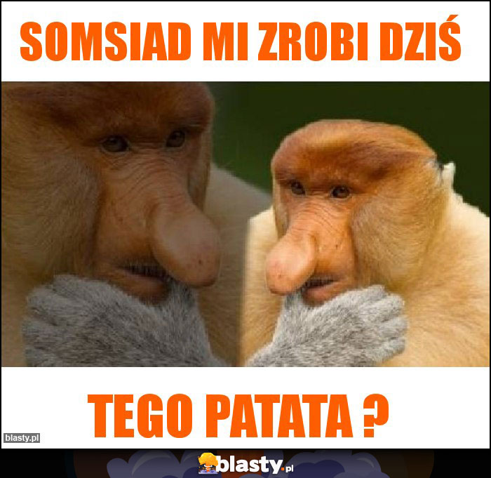 SOMSIAD MI ZROBI DZIŚ