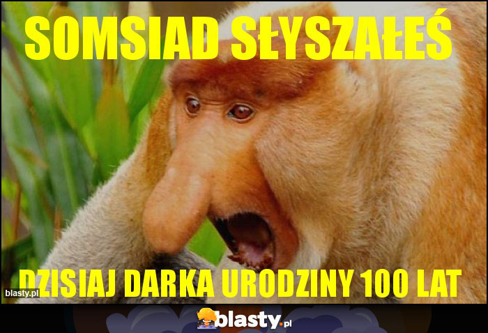 somsiad słyszałeś somsiad słyszałeś