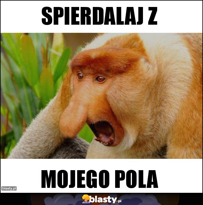 SPIERDALAJ Z SPIERDALAJ Z