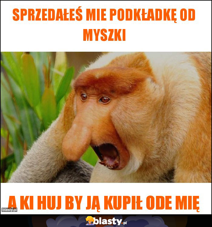 Sprzedałeś mie podkładkę od myszki Sprzedałeś mie podkładkę od myszki