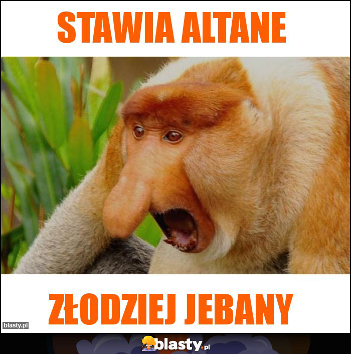 Stawia altane