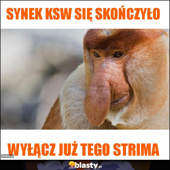 Synek ksw się skończyło