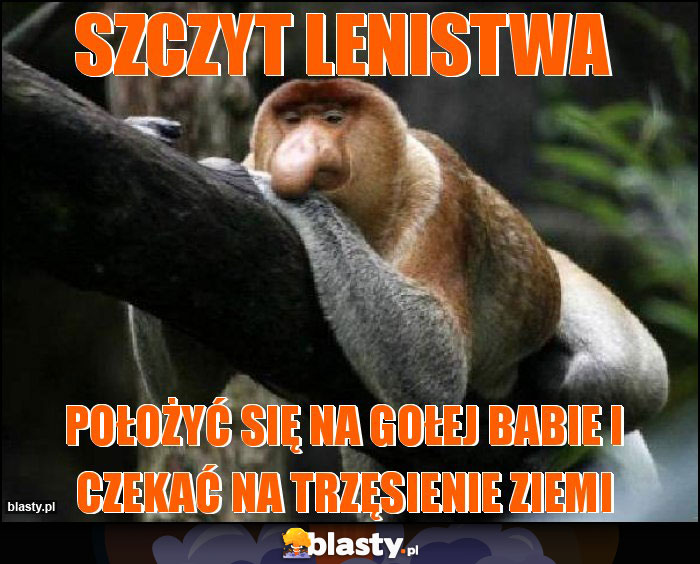 Szczyt lenistwa Szczyt lenistwa