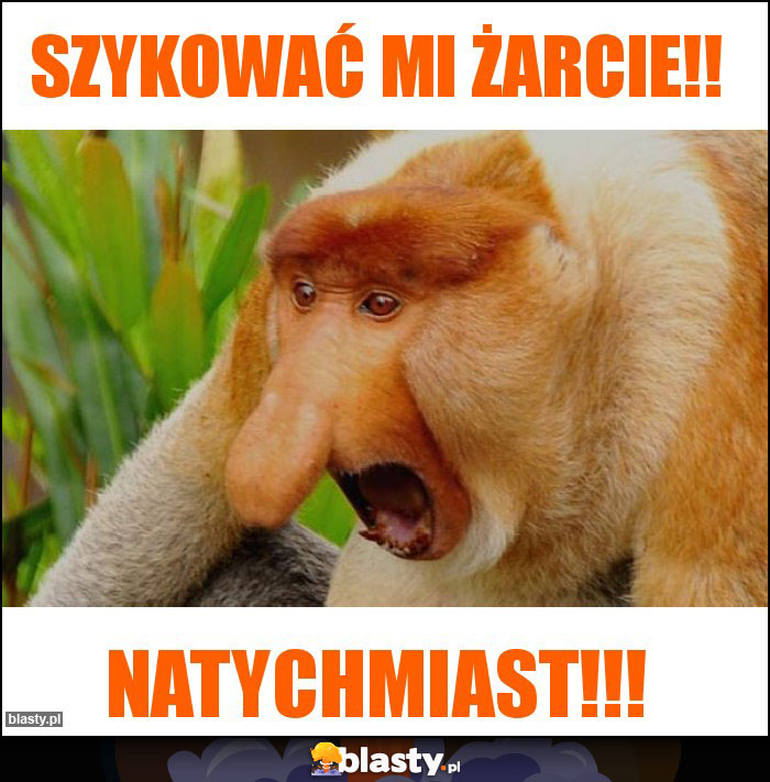 Szykować mi żarcie!! Szykować mi żarcie!!