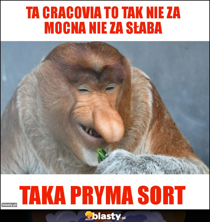 TA CRACOVIA TO TAK NIE ZA MOCNA NIE ZA SŁABA TA CRACOVIA TO TAK NIE ZA MOCNA NIE ZA SŁABA