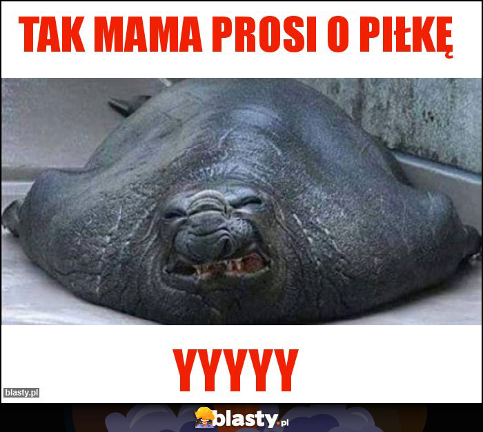Tak mama prosi o piłkę Tak mama prosi o piłkę