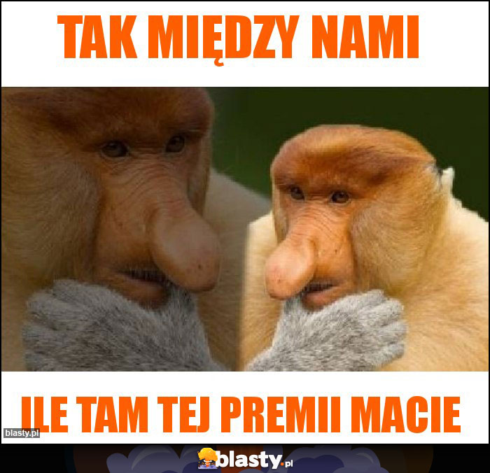 Tak między nami Tak między nami