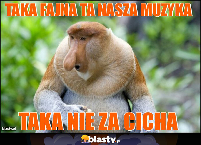 Taka fajna ta nasza muzyka Taka fajna ta nasza muzyka