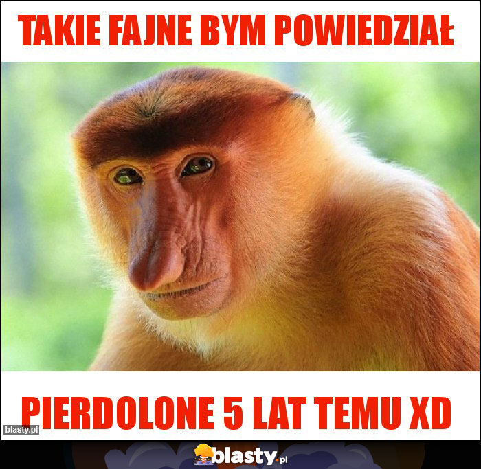 takie fajne bym powiedział takie fajne bym powiedział