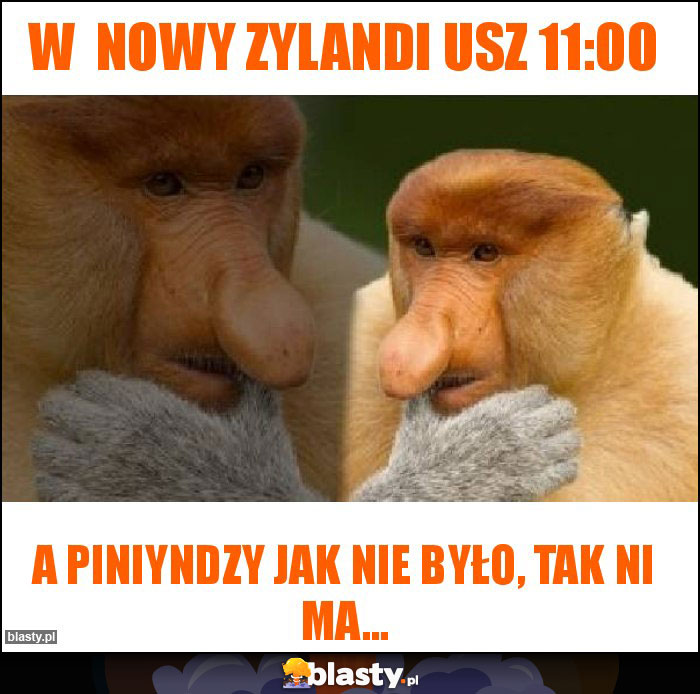 W nowy zylandi usz 11:00 W nowy zylandi usz 11:00