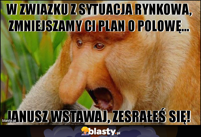 W ZWIAZKU Z SYTUACJA RYNKOWA, ZMNIEJSZAMY CI PLAN O POLOWĘ... W ZWIAZKU Z SYTUACJA RYNKOWA, ZMNIEJSZAMY CI PLAN O POLOWĘ...